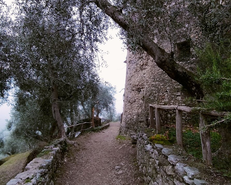 Campo di Brenzone borgo medievale