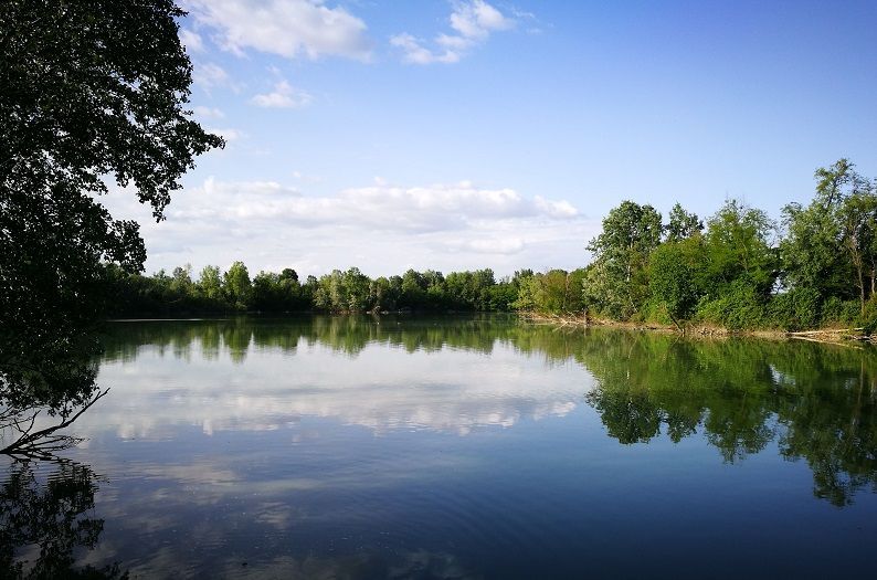Parco Laghetti Martellago