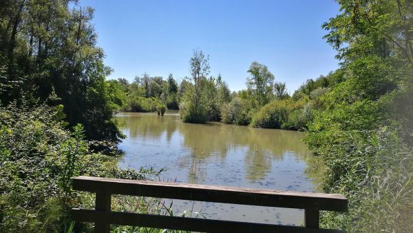 Oasi Lycaena percorso