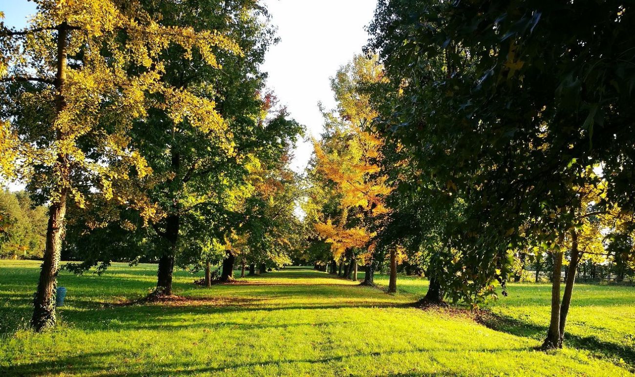 Villa Guidini parco
