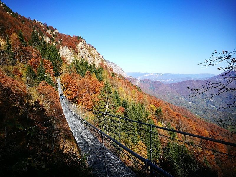 Ponte Tibetano o Ponte Avis Valli del Pasubio
