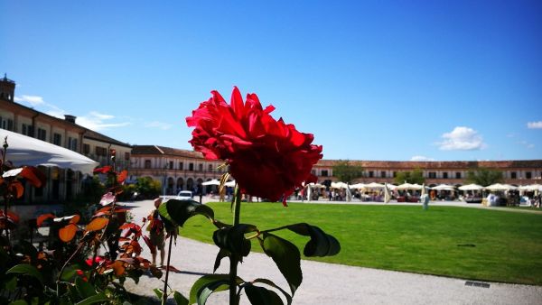 Rotonda di Badoere e Mercatino