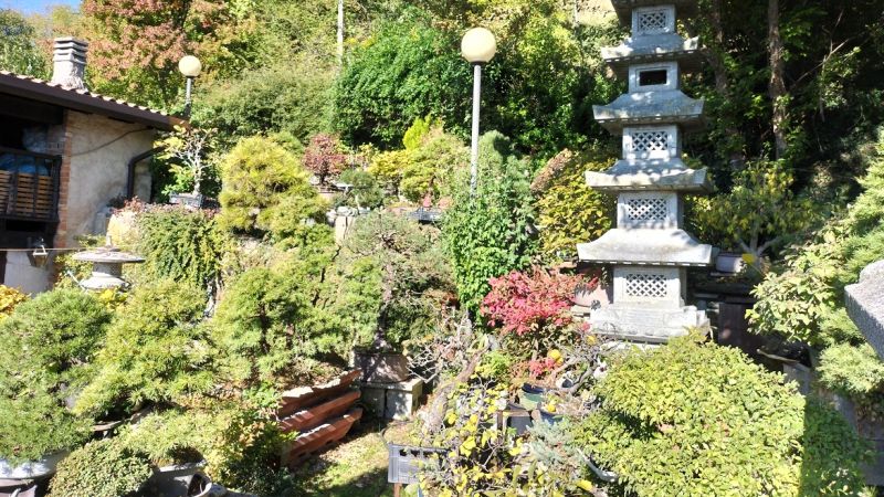 A Tarzo il Giardino Museo Bonsai della Serenità