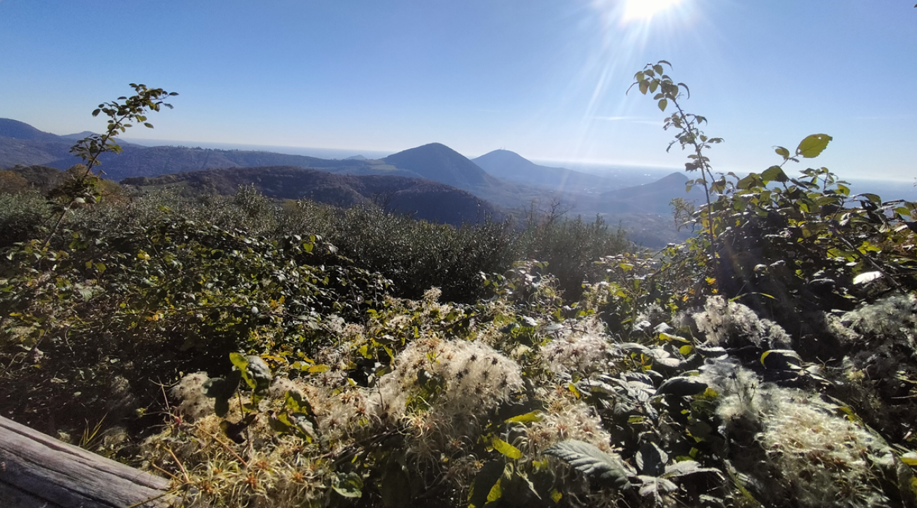 Monte Venda Sentiero Maronari punto panoramico